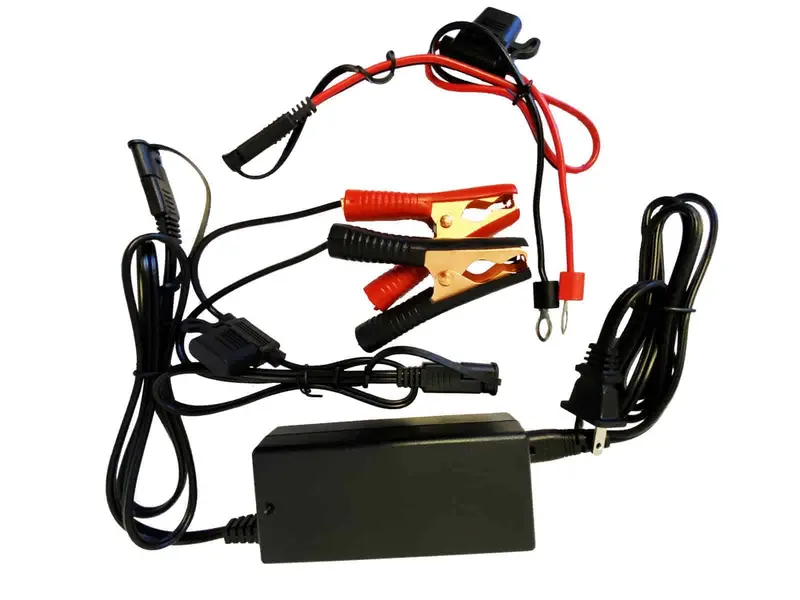 12V Lifepo 4A Charger 1