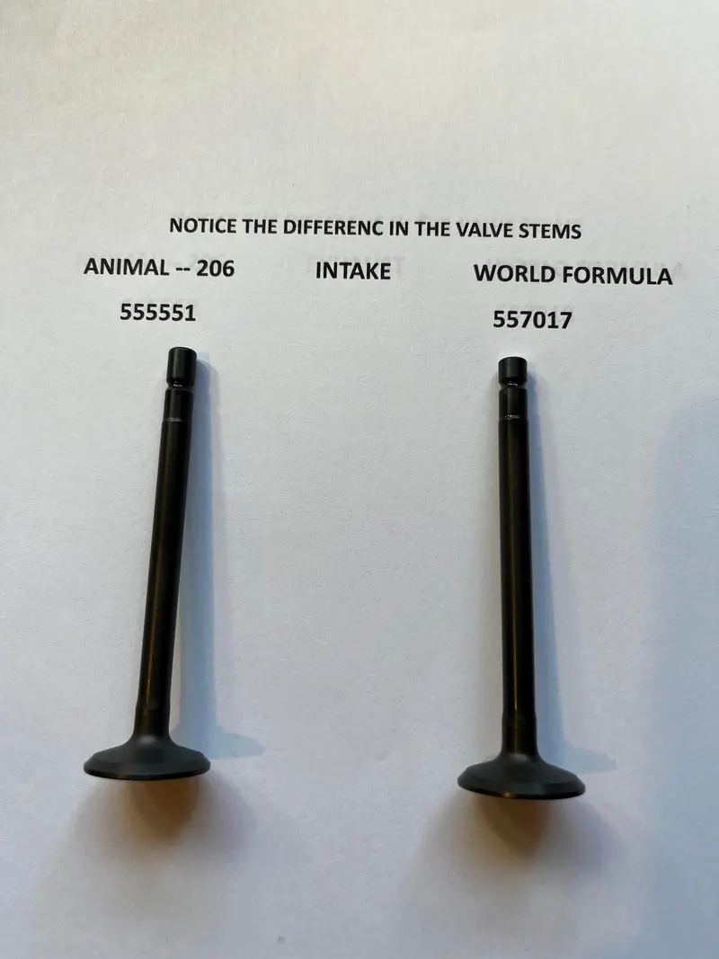 557018 World Formula Exhaust Valve 1
