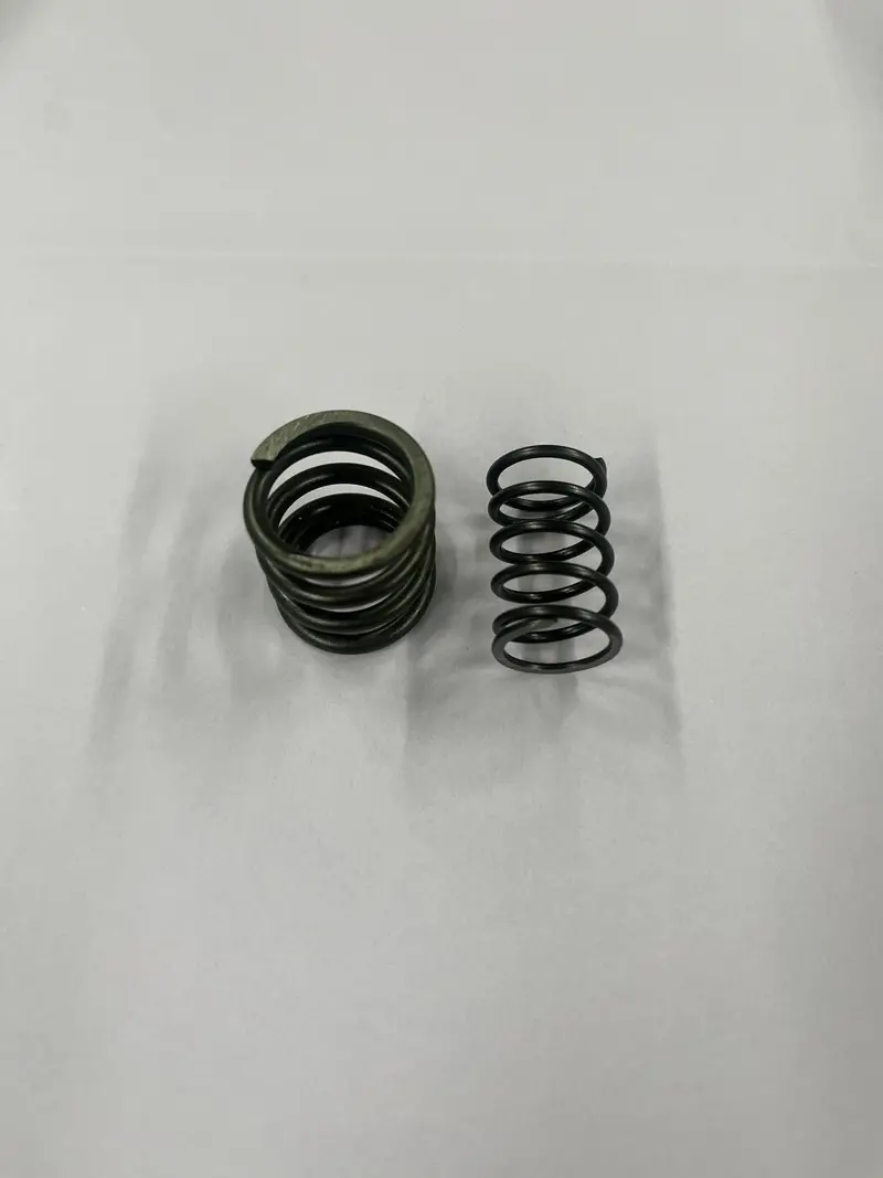 557024 World Formula Valve Spring 1