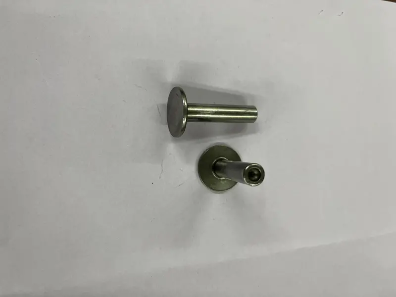 557098 Valve Tappet Wf (Pair) 1