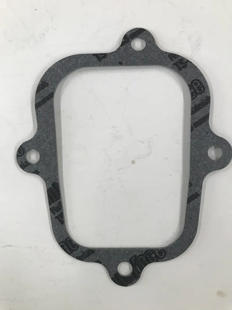 691890 Valve / Rocker Cover Gasket 1