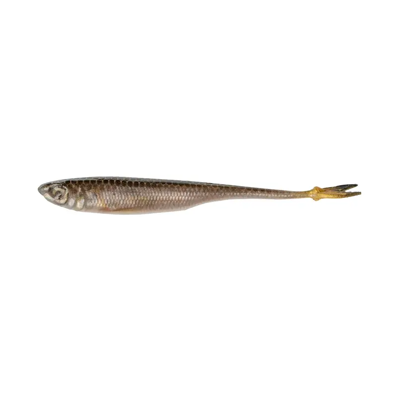 6Th Sense Crappie Strobe Minnow 1