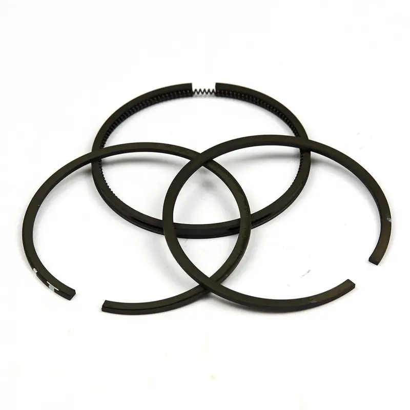 Briggs 206, Animal And World Formula Piston Oem Rings 1