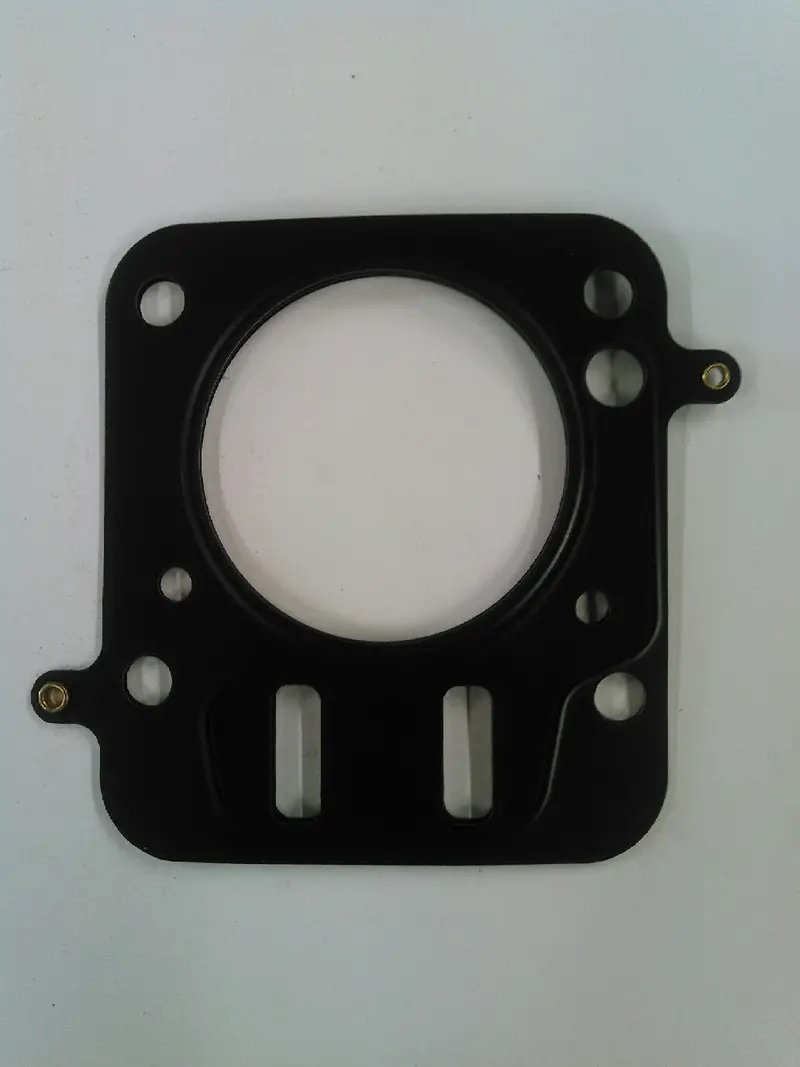 Burris Mls Briggs Head Gaskets 1