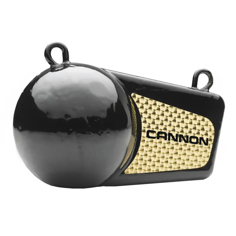 Cannon 12Lb Flash Weight [2295190] 1