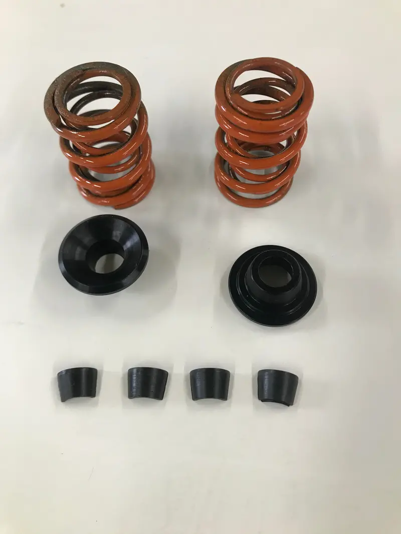 Dual Valve Springs / Pair 1