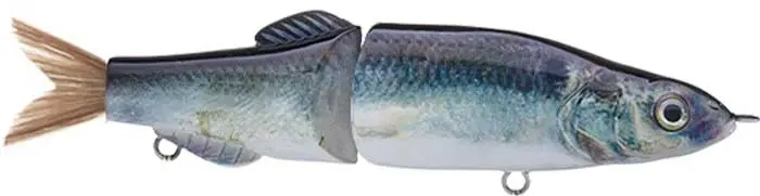 Duckett Fishing Bd Glider 1
