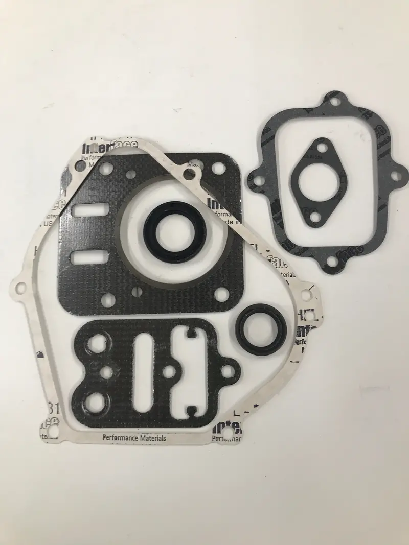 Gasket Set (Engine)- 555631 1