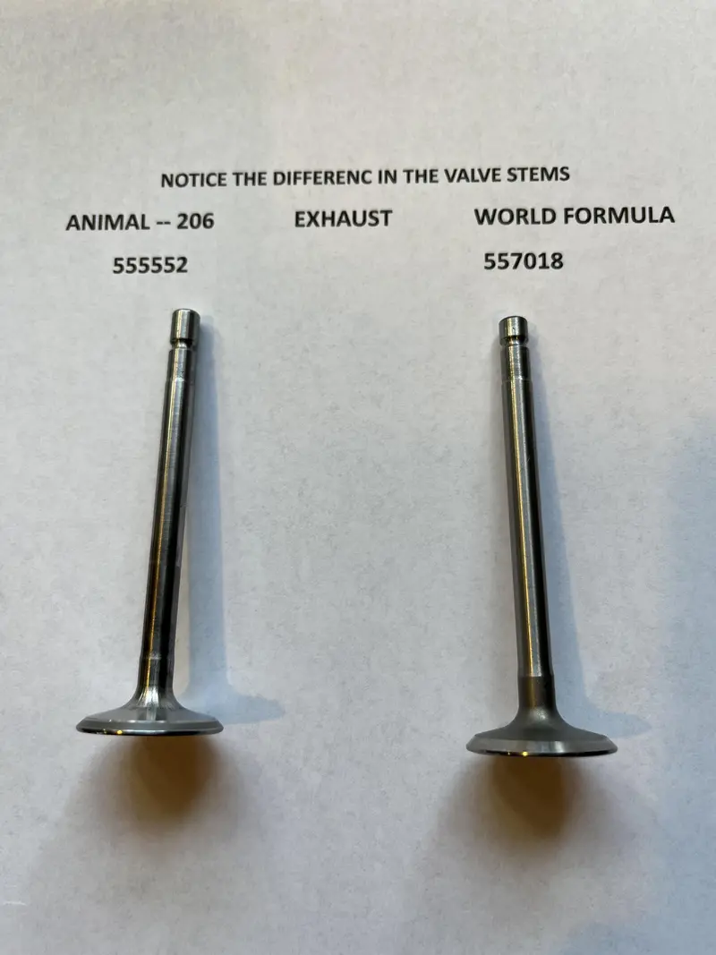 Intake Valve 555551 For Lo 206 1