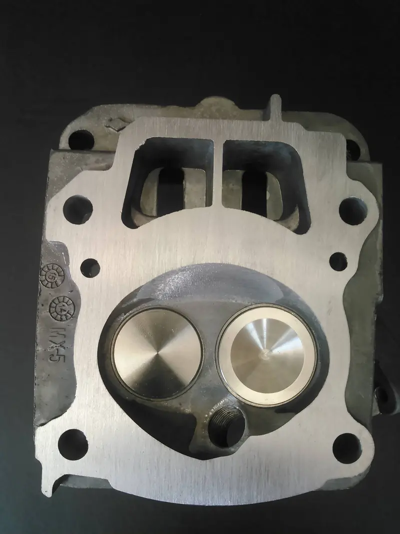 Model 15 Big Valve Heads 1