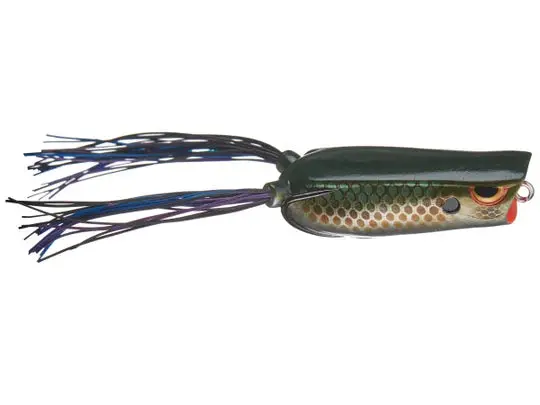 Spro Bronzeye Pop 60 (Killer Gill) 1