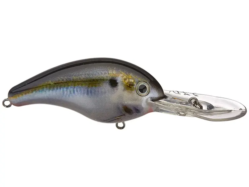 Strike King Pro Model 5Xd Crankbaits 1